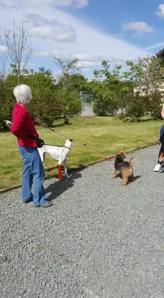 18222225 1656014784416214 6695405554882075181 n