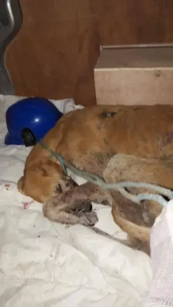 18222485 1661502270534132 157254971695662804 n