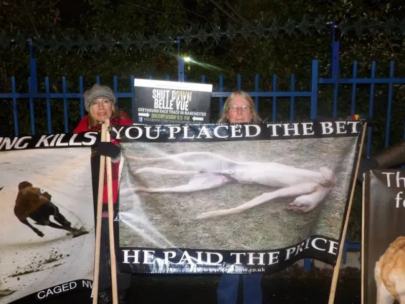 18273 904662662911880 3778041663056079925 n