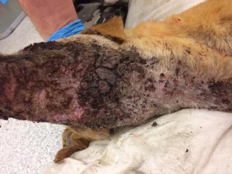 18301360 1661502250534134 5886519162855365568 n