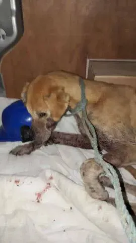 18301522 1661502283867464 4659804801746810940 n