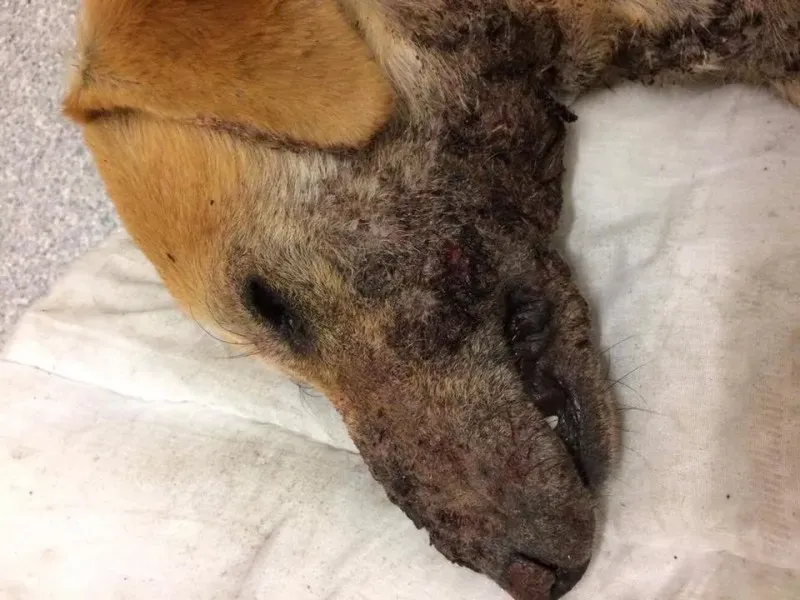 18301672 1661502180534141 8416909412156806627 n