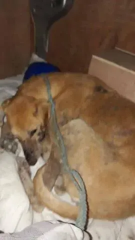 18341698 1661502327200793 5380281276599110421 n