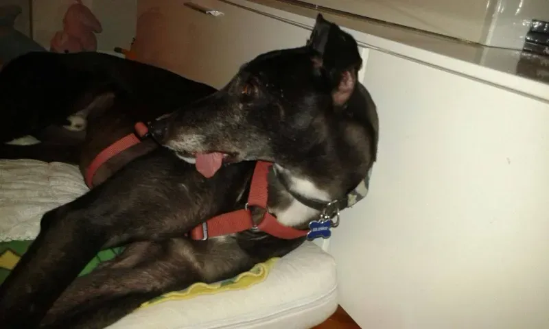 1836814 806303046105014 8829120463622304667 o