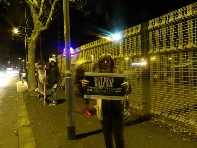 18422 904663269578486 8279090935322592488 n