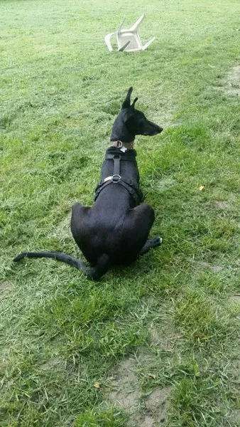 18423792 10212725333838490 6679767747372906336 n