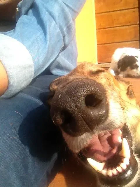 18423903 10154776974233246 2452886761238559369 n