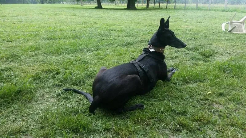 18424137 10212725333558483 848519755822140070 n