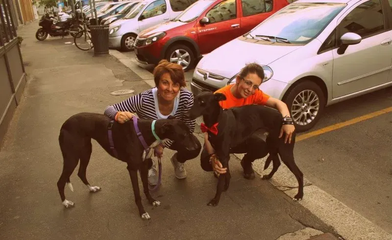 18527412 1509968532389246 9119645742856329335 o