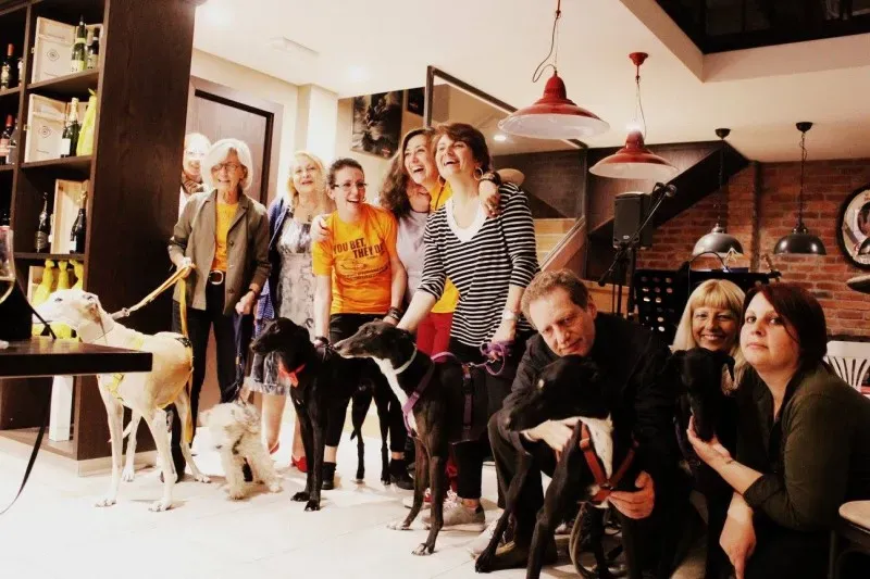 18558605 1509970012389098 1087382242734625717 o