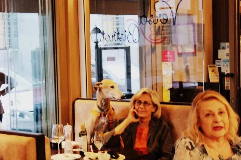 18559006 1509970285722404 1192208200551217207 o