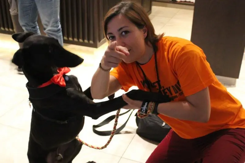 18588879 1509968825722550 7530149219984962831 o