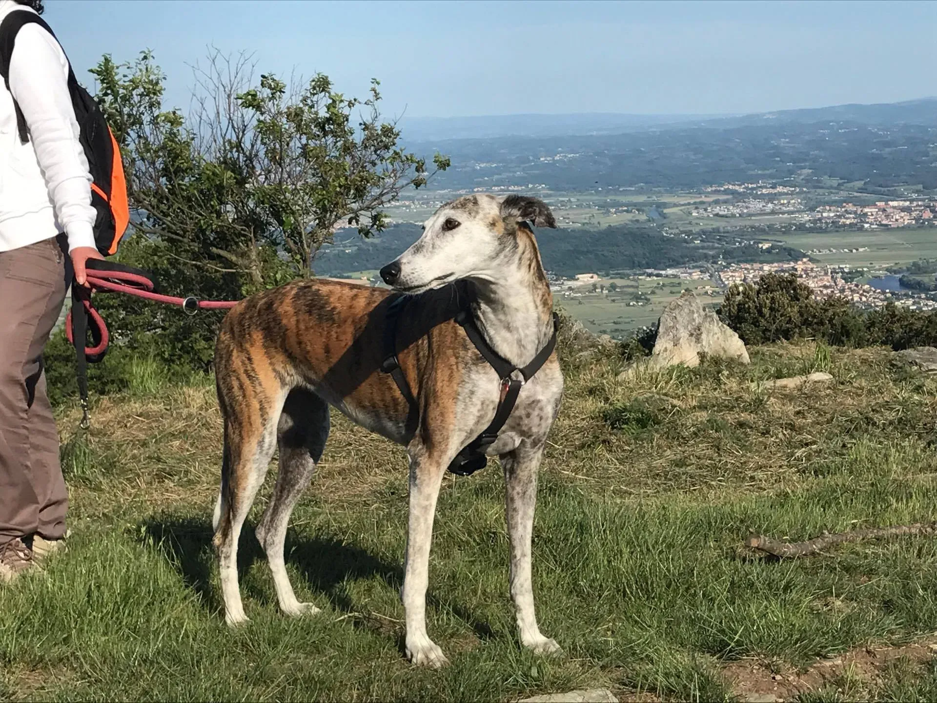 18589078 433059593732878 8430097803518518490 o