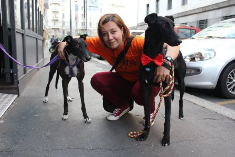 18589110 1509968402389259 5415872256539966574 o