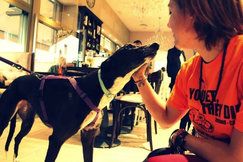 18595284 1509969252389174 5263196990520980376 o