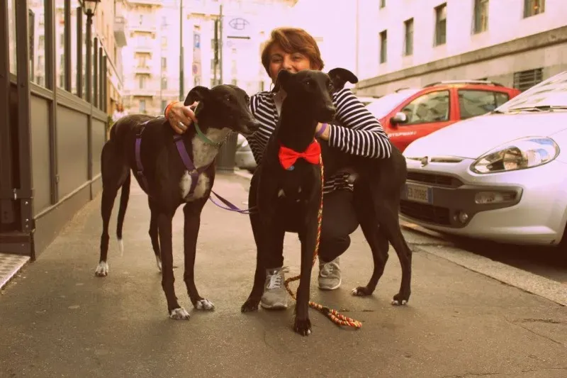 18595346 1509968969055869 3580463706813635036 o