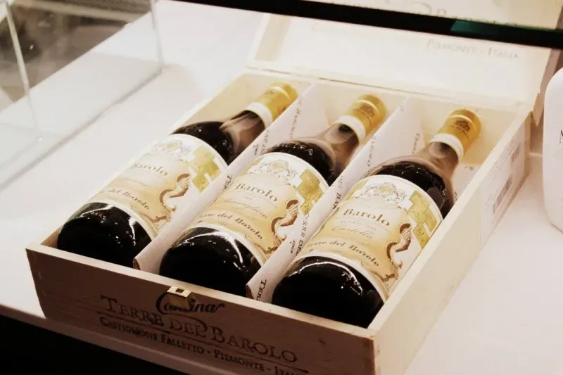 18620912 1509969662389133 2747223621351557190 o