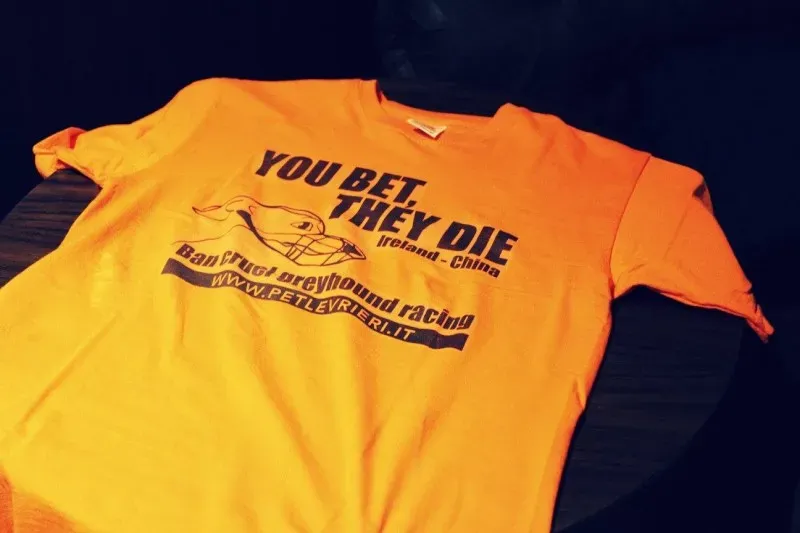 18623312 1509968395722593 4054549982619576755 o