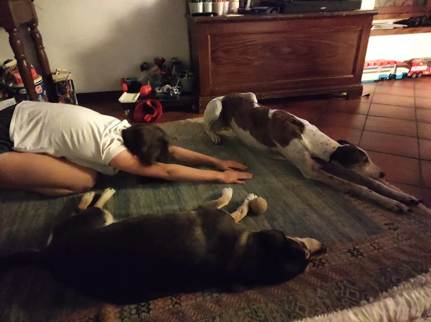 186474688 2694860607478508 6063214395691622727 n