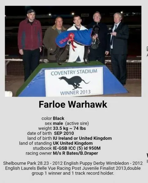 18664270 1337643896343742 7906836308494250060 n