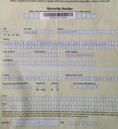 18670900 1339214236186708 6590073791416948021 n