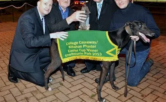 18671233 1339300992844699 6431398244471492894 n 1