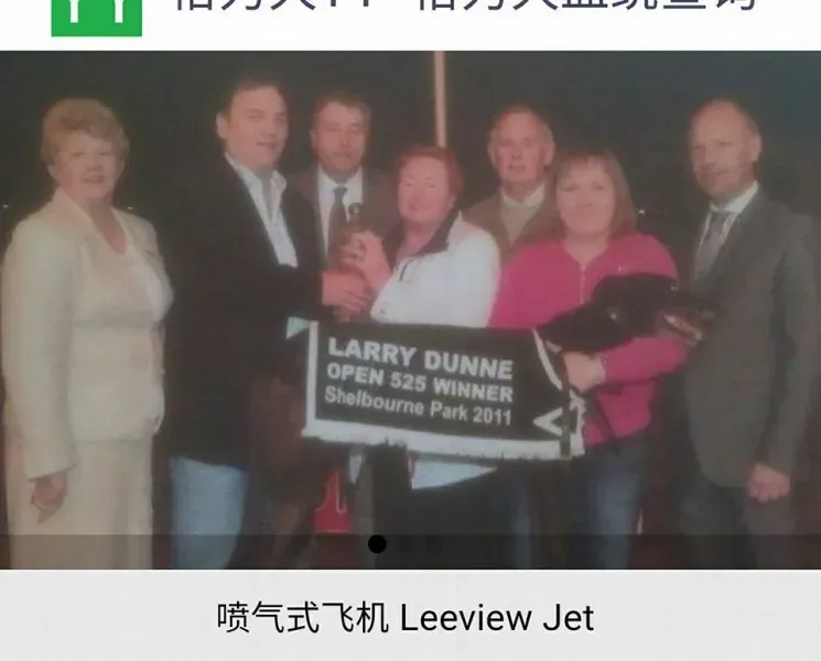 18671273 1339293142845484 8960702806926380228 n