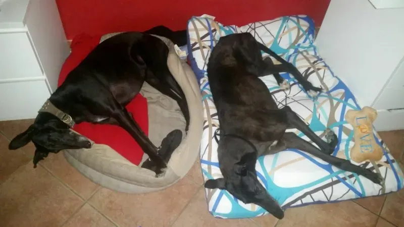 18672834 10212862849956307 2431819875609139665 o