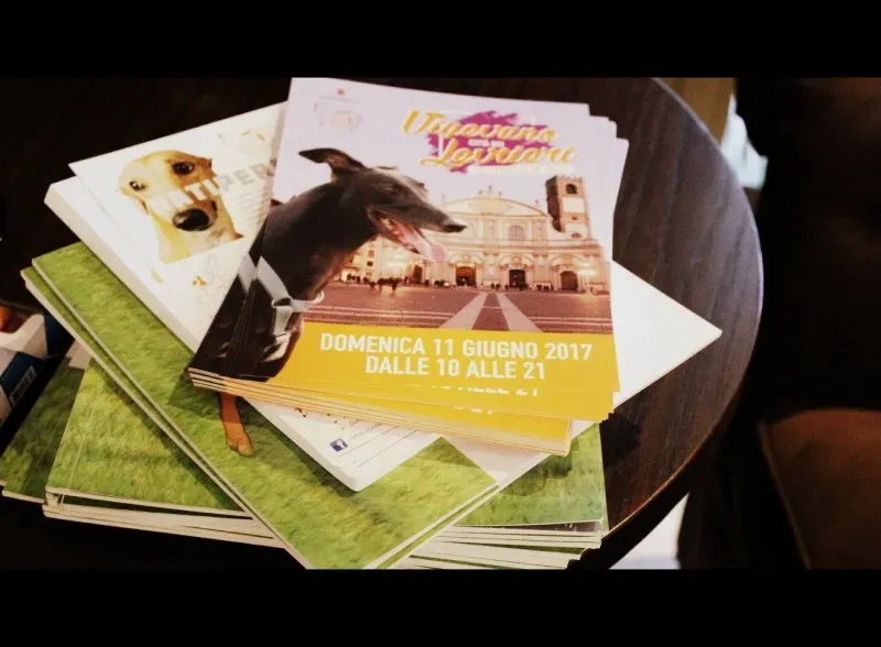 18673230 1509969372389162 1205634872445231434 o