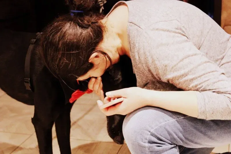 18673240 1509969819055784 2250830256118419539 o