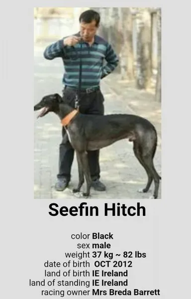 18698169 1339214296186702 1199951548966347776 n 1