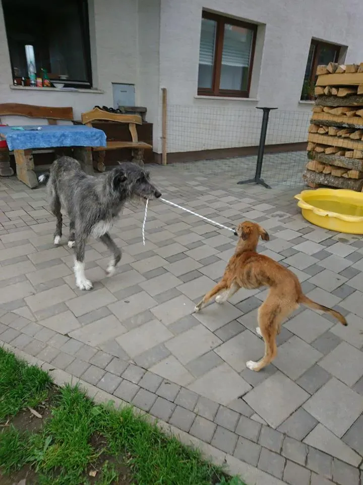 18698287 10212818828007064 5493565520231901656 n