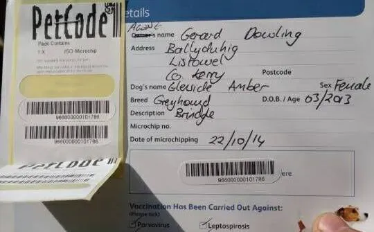 18698342 1339284929512972 1552820139885163623 n