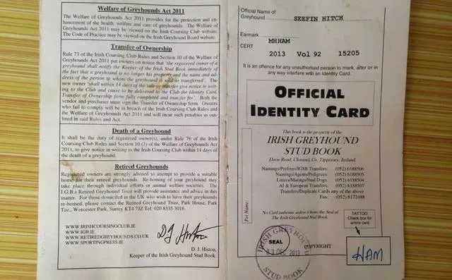 18698518 1339214186186713 1345794299364680047 n