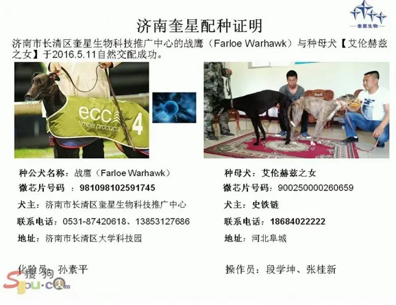 18739736 1337643953010403 7579832337681851218 n