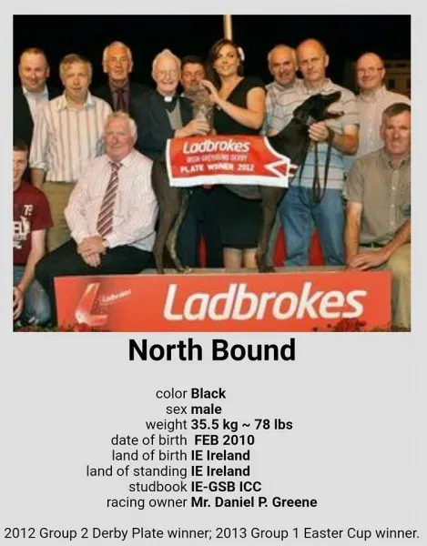 18740126 1339301072844691 7646160457960050881 n