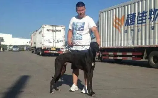 18767696 1339301049511360 4875401466574956042 n