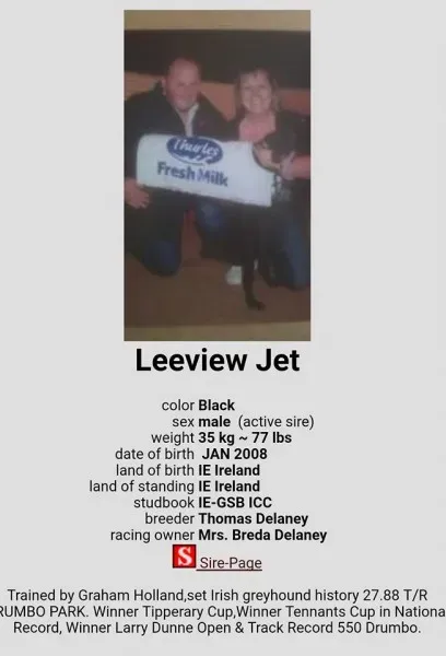 18813714 1339293106178821 5073541799361745791 n