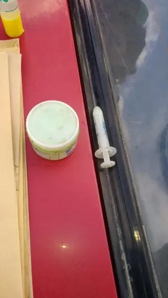 18813721 1484059401654663 1807280770786190925 n