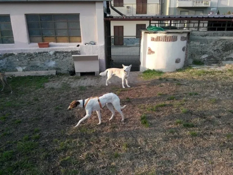 1888634 221222918072498 792544694 n