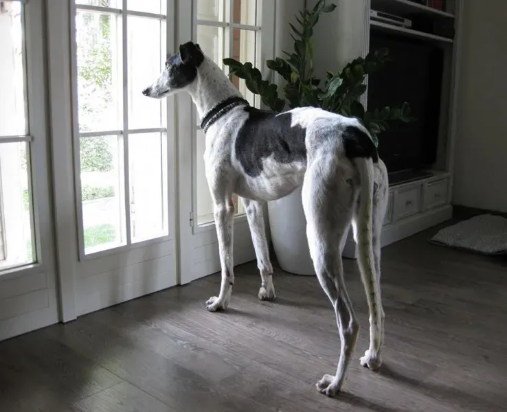 1891007 10202781514411966 213310625 n