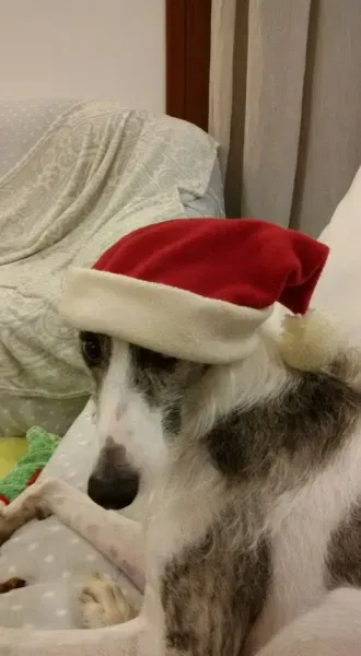 1891131 1947020478855873 2372155409439747106 n