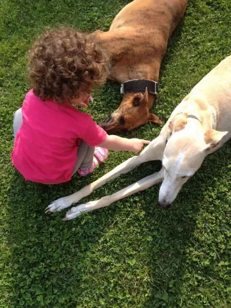 1891246 867626959991687 8319028918436551185 n