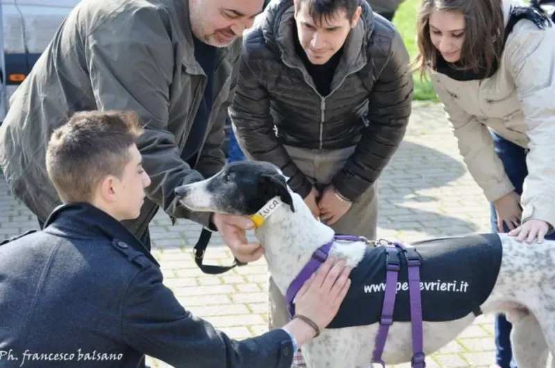 1896994 600992276651298 495668 n