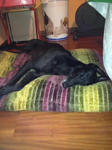 1897778 1605335453027769 4711930712343007703 n