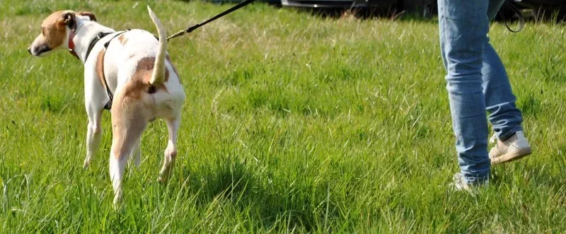 1898822 645392682188574 804070771 o