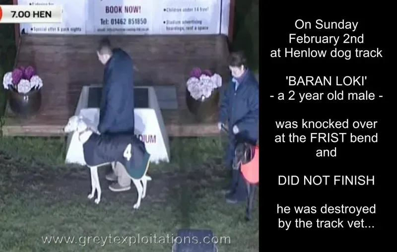 1899437 633461636707005 1079271006 o