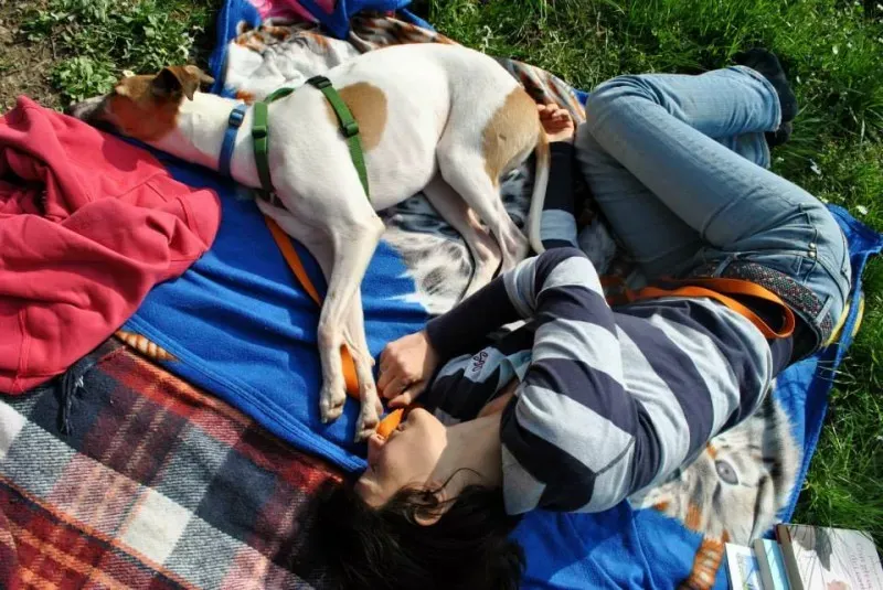 1899911 646146158779893 2117779459 n