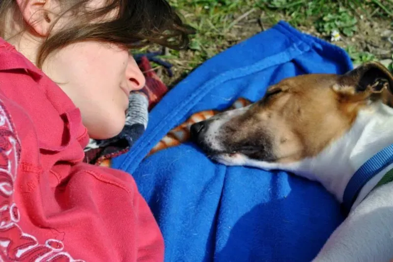 1899992 646147372113105 742032967 n