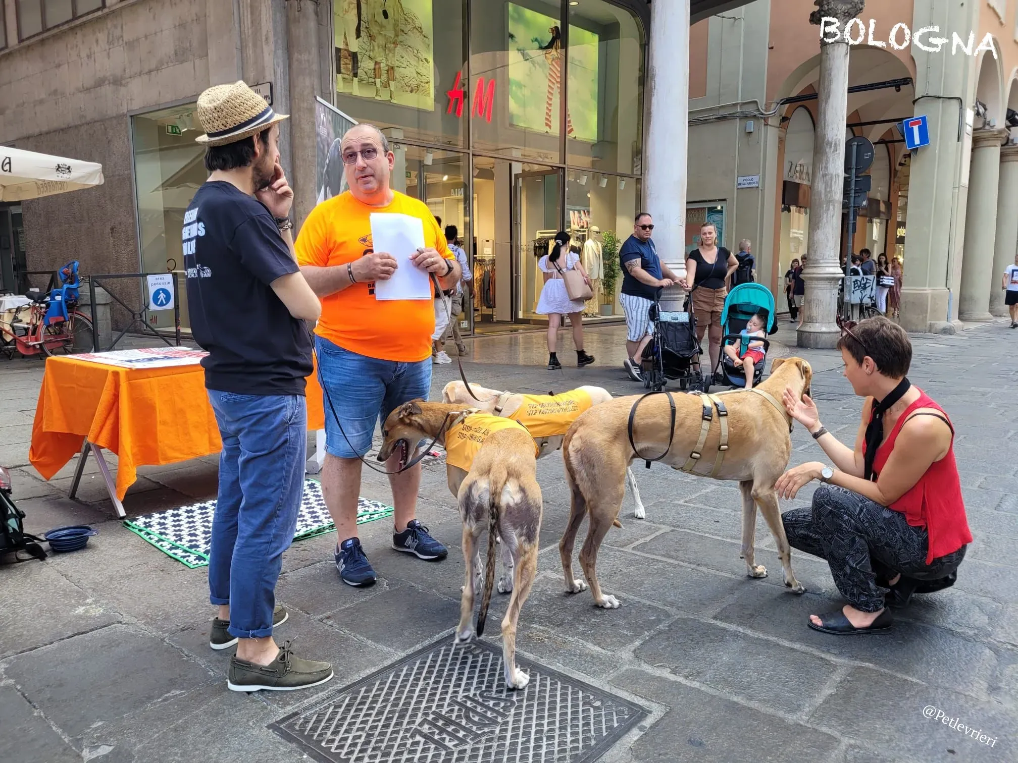 18d2678b 6691 4711 850c 4b28d3852e99 risultato